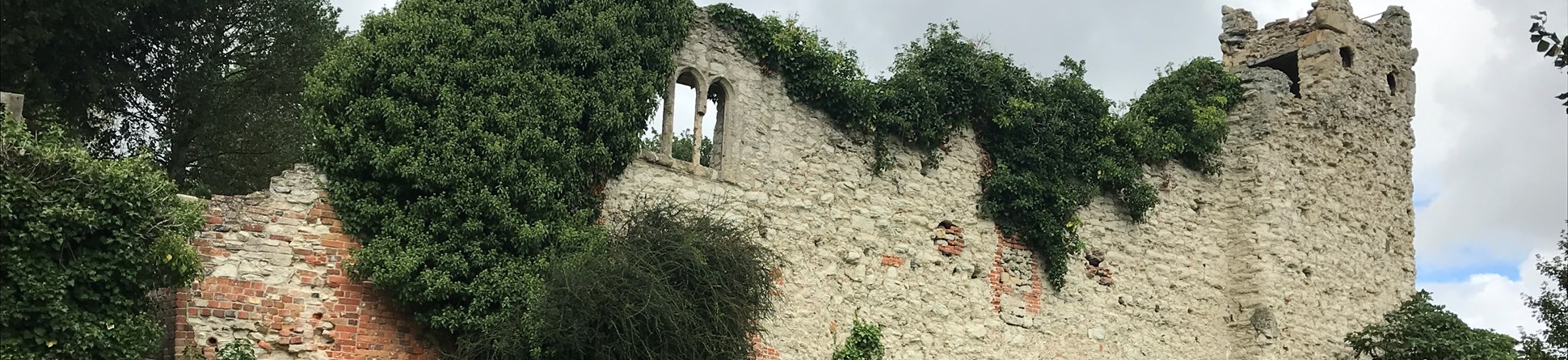 Stone wall remains covered with vegetation