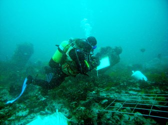 Diver recording on HMS Colossus.  HMS Colossus was a 74 gun warship built in 1787 at Gravesend and wrecked off Samson in the Scillies in 1798.